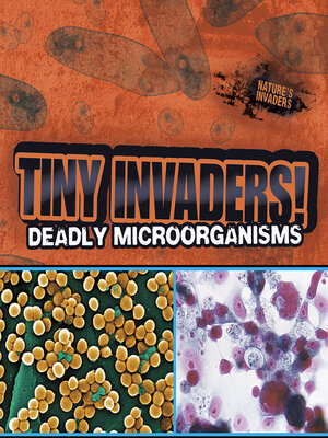 cover image of Tiny Invaders!